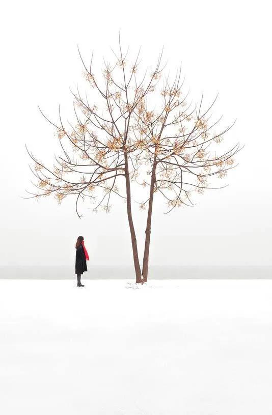 「观影报告」《狐狸的夏天》很“顾承泽”，你会很幸福