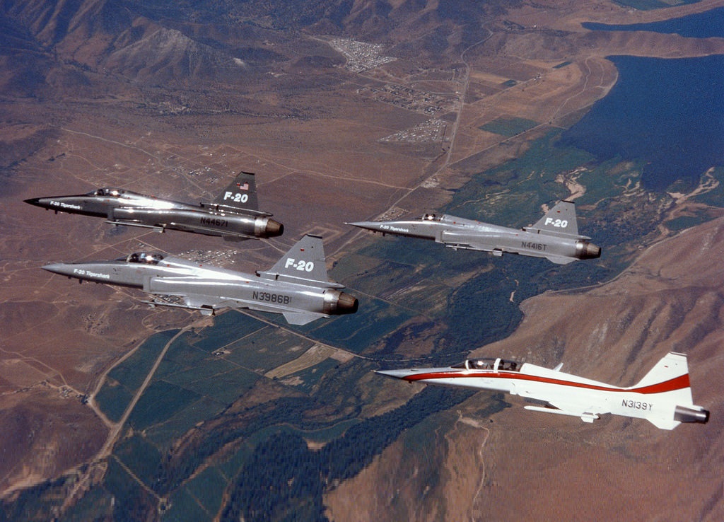 虎鲨悲剧,极富悲剧色彩的虎鲸