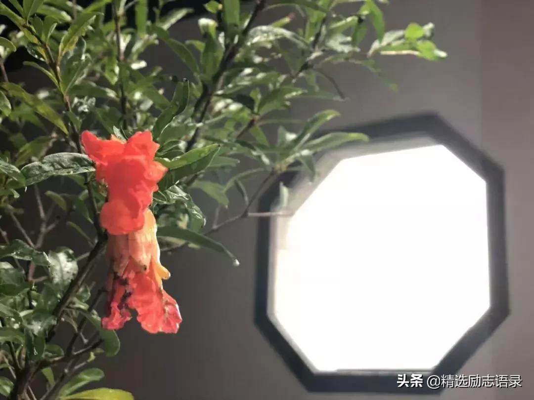 好的家教对联,有关教育方面的长对联