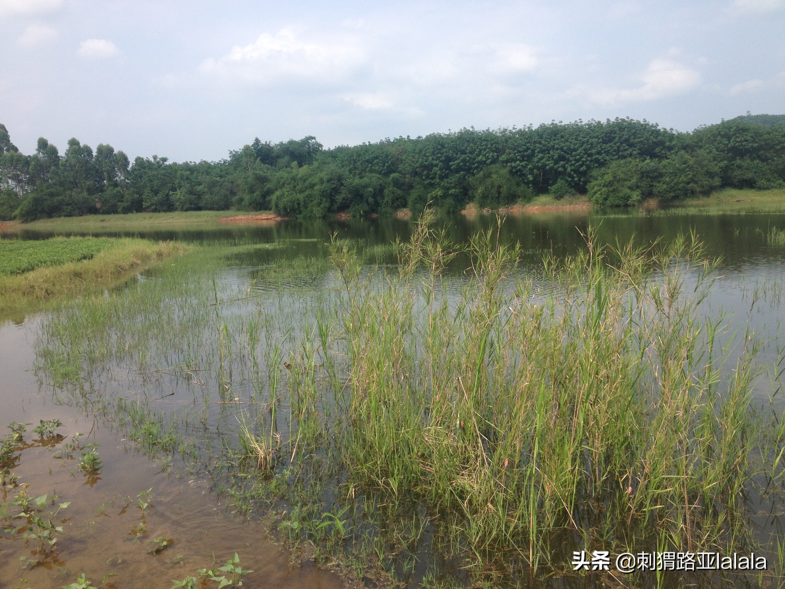 路亚打黑手法怎么操作,路亚打黑实战案例