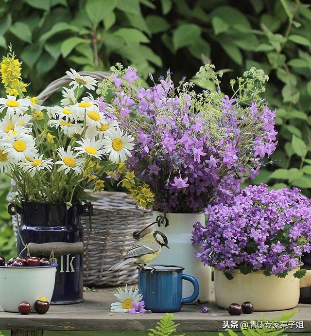 情感咨询｜栗子姐每日情感问答（1118）