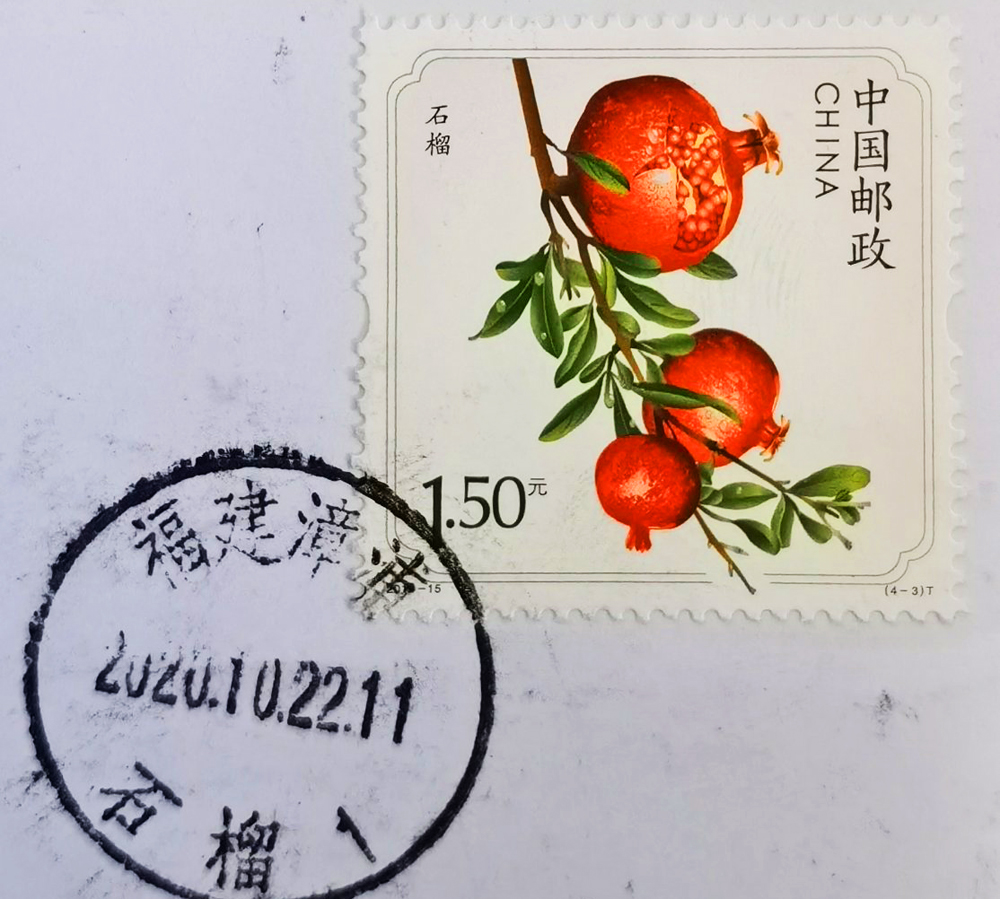 漳浦填鸭的来历,漳浦地理标志水果