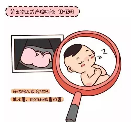 不用再找了，最全孕期产检时间表在这里！