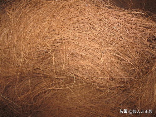 床垫怎样选购合适,床垫什么样的好该如何挑选床垫