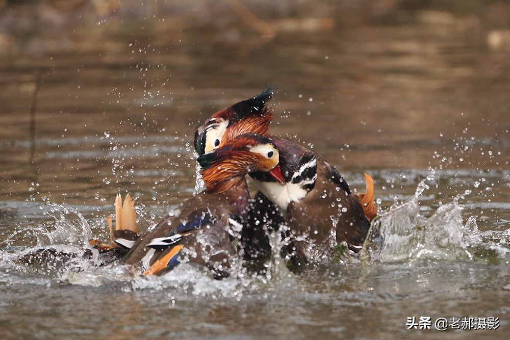 冲冠一怒为红颜讲的是谁,冲冠一怒为红颜的故事