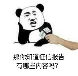 怎样才能看懂自己的征信报告,征信报告怎么看手把手教会你