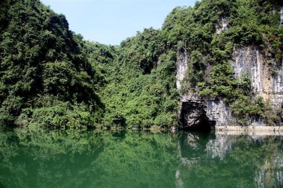 黄山的金凤凰,山沟里的金凤凰湖北