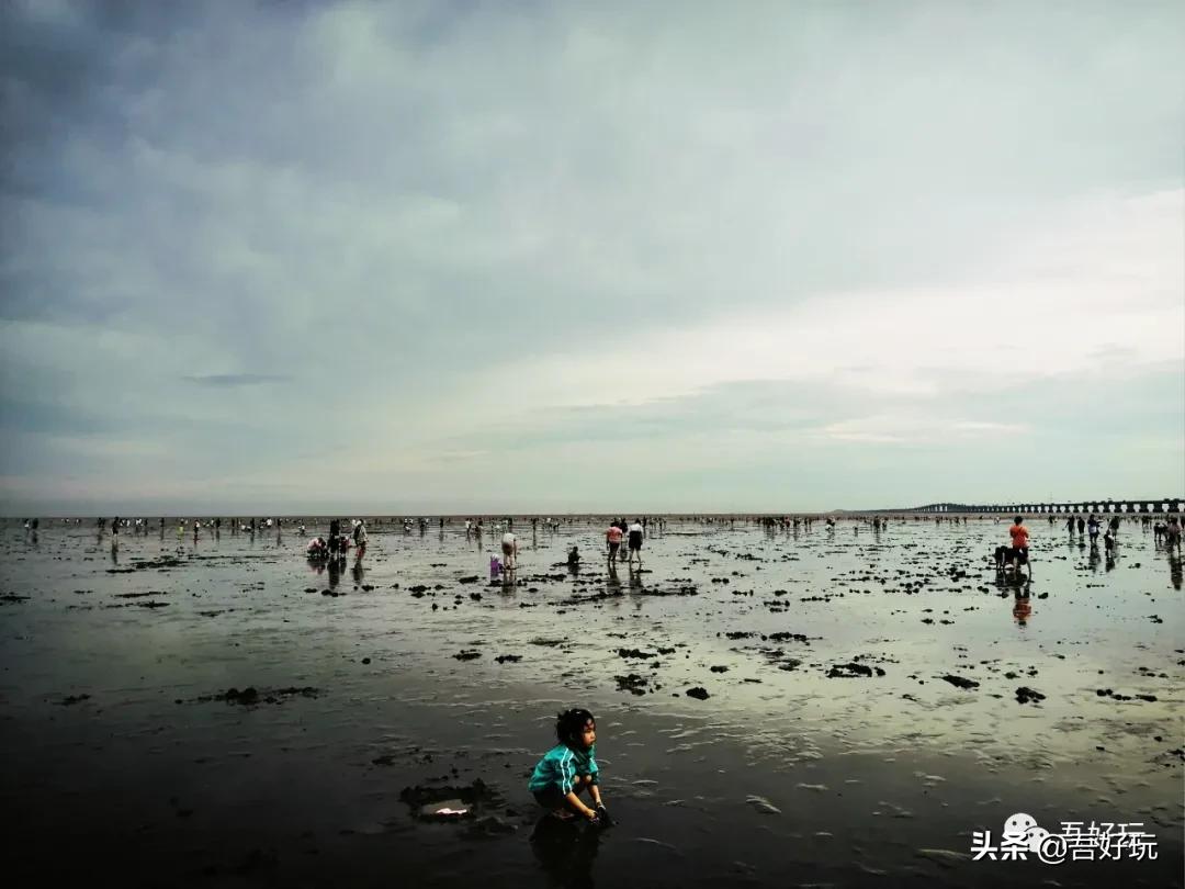 遛娃|南汇新城海滩，魔都夏日必打卡？