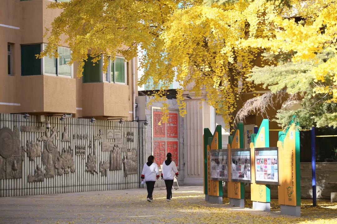 北京陈经纶中学高中怎么样,北京陈经纶中学高中部电话