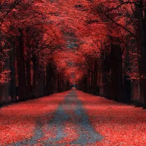 背下的十首宋词,十首宋词道尽人生