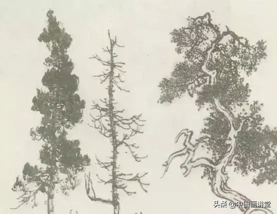 缠枝、挺杆、屈节、钮裂、一棵树如何画？看了这篇你绝对能学会