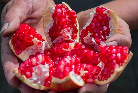 突尼斯软籽石榴甜蜜多汁晶莹剔透,突尼斯软籽石榴真的好多汁
