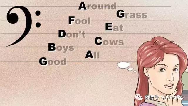 唱歌的五线谱入门教学,新手怎么学唱歌看谱子