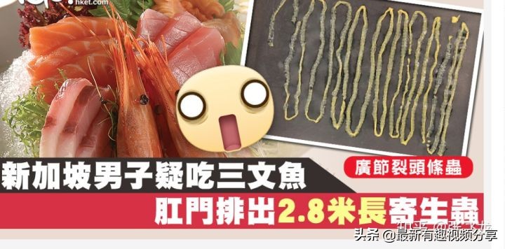 挪威三文鱼养殖环境恶劣纪录片,挪威三文鱼养殖环境恶劣新闻