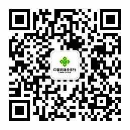 云逛集市,云逛店活动