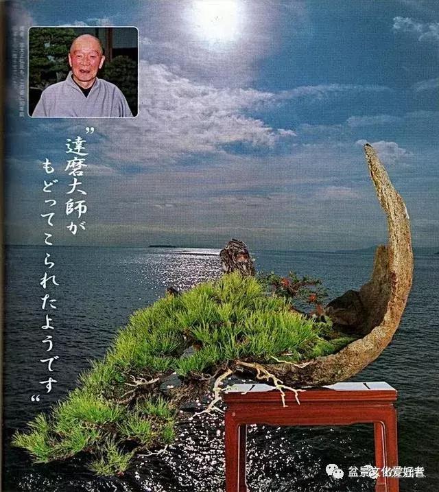 他山之石可以攻玉诗句,他山之石可以攻玉的作品