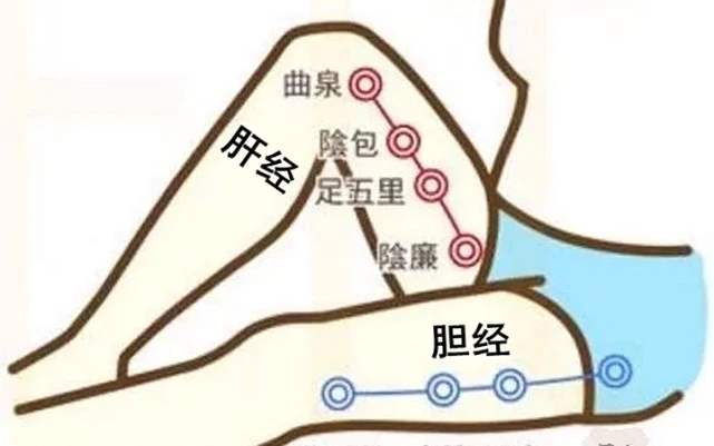 减肥按什么穴位瘦得最快,减肥瘦不下来艾灸哪个穴位