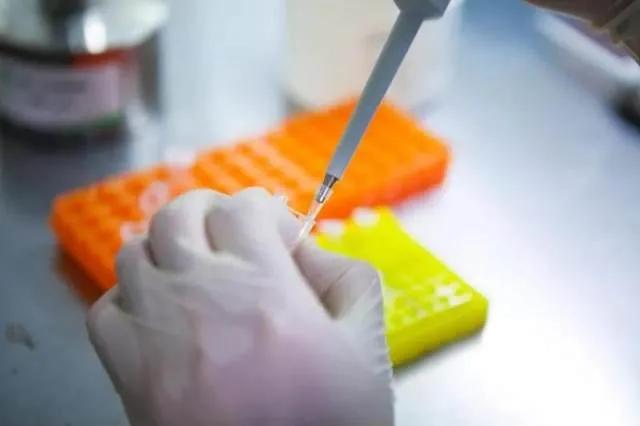 病理报告不会看？别怕，手把手教你