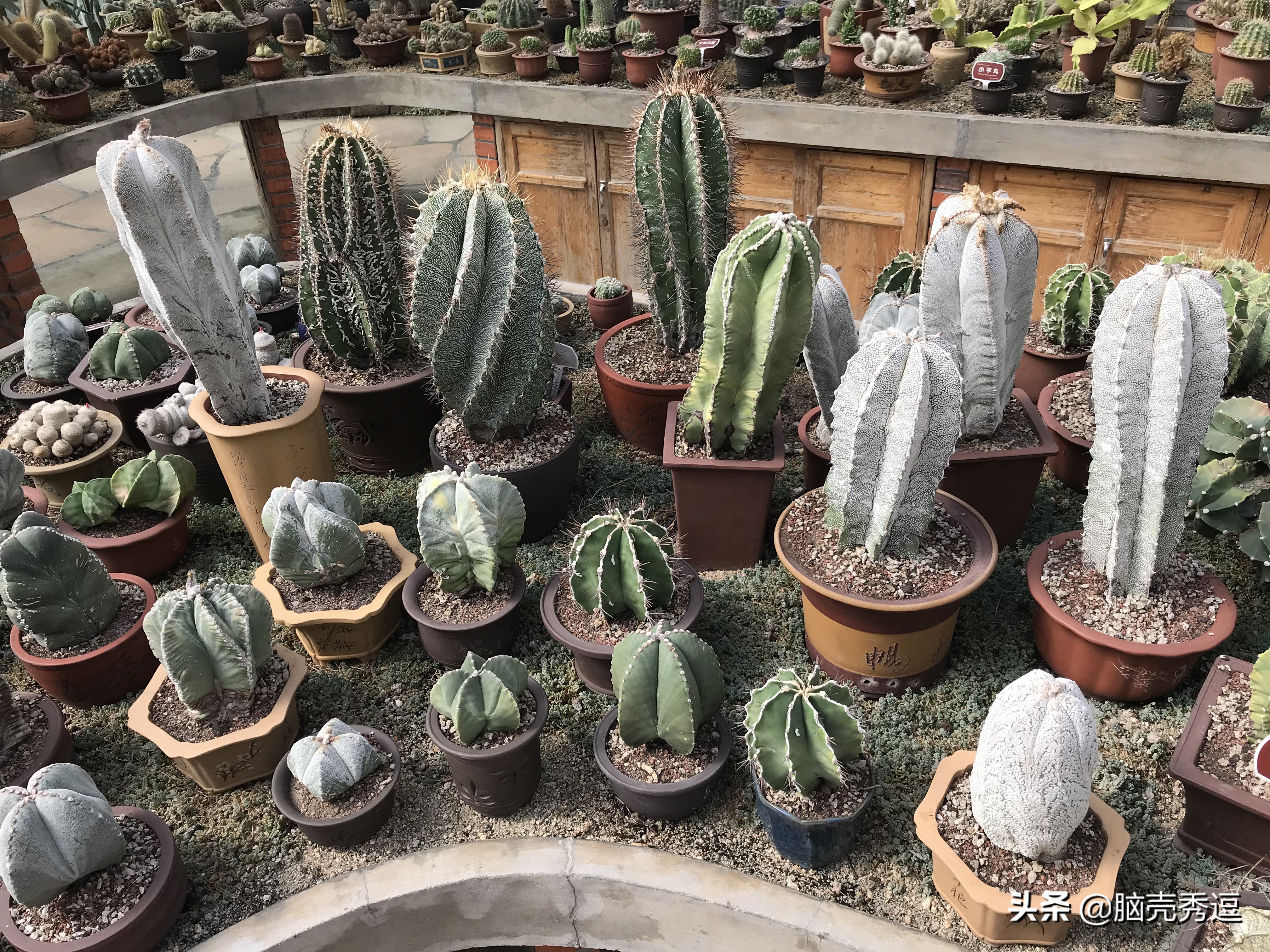 厦门四天自由行攻略最详细,厦门自由行攻略5天详细