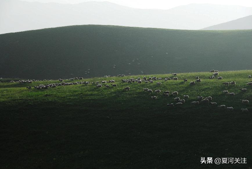 【夏河·拾光】秘境追影