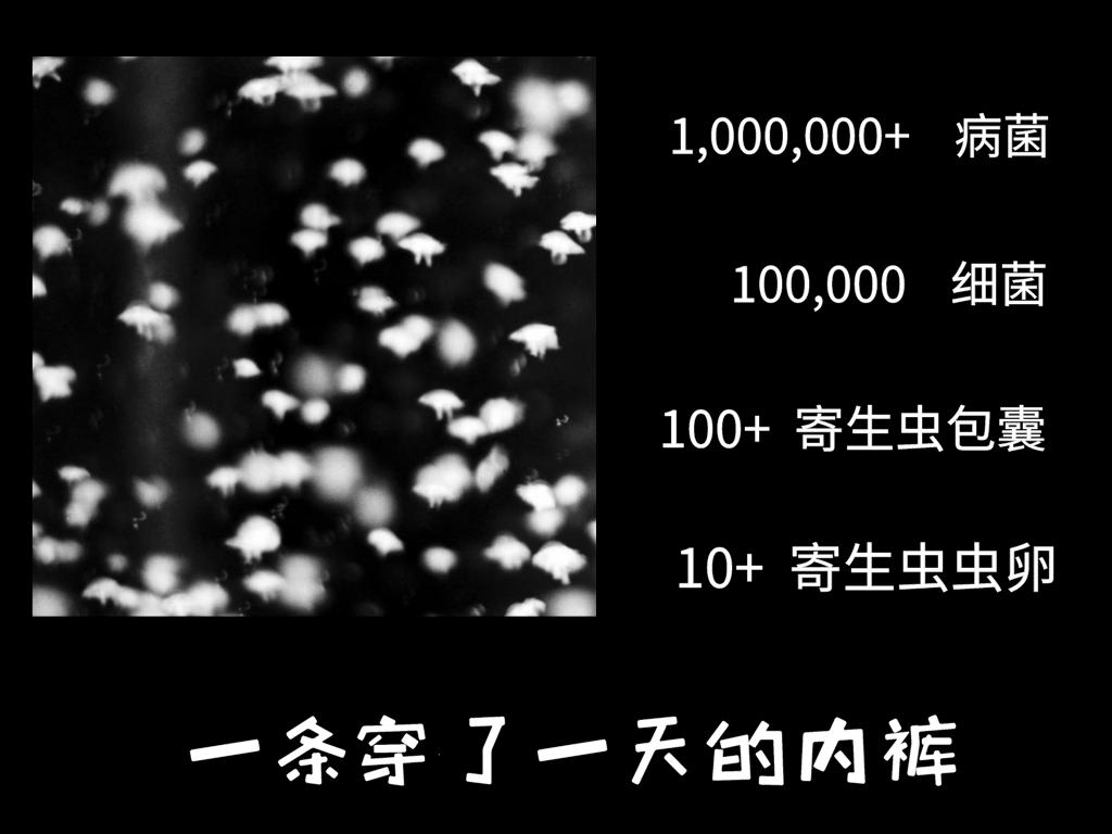 内裤上有多脏,女人内裤到底有多脏