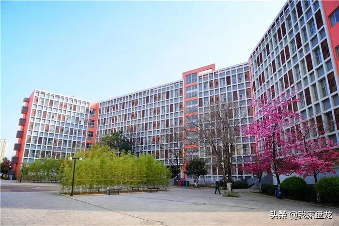 盘龙中学本科率,昆明盘龙高中排名一览表最新