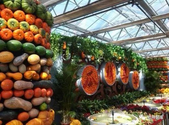 秋分节气是中国的农民丰收节,丰收节是秋分的节气吗