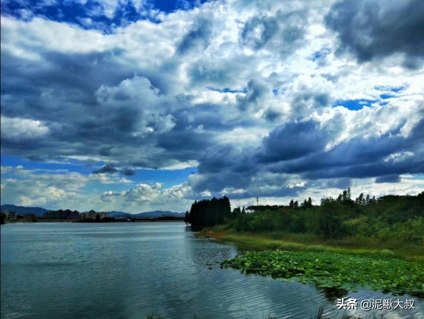 金义都市新区招聘,金义都市新区未来5年规划