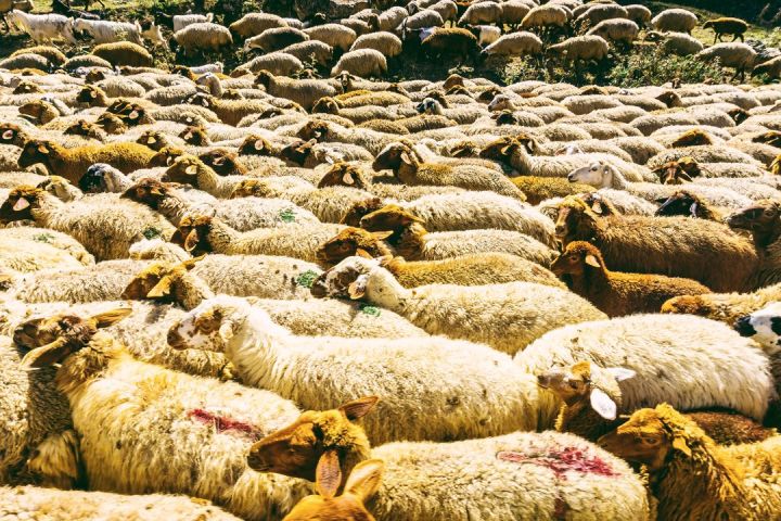 五一冷门小众旅游目的地,十大必去小众深度目的地