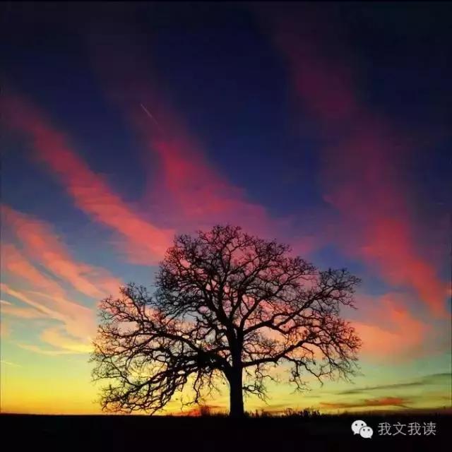 女儿国国王朱琳演唱女儿情完整版,女儿国朱琳朗诵致橡树