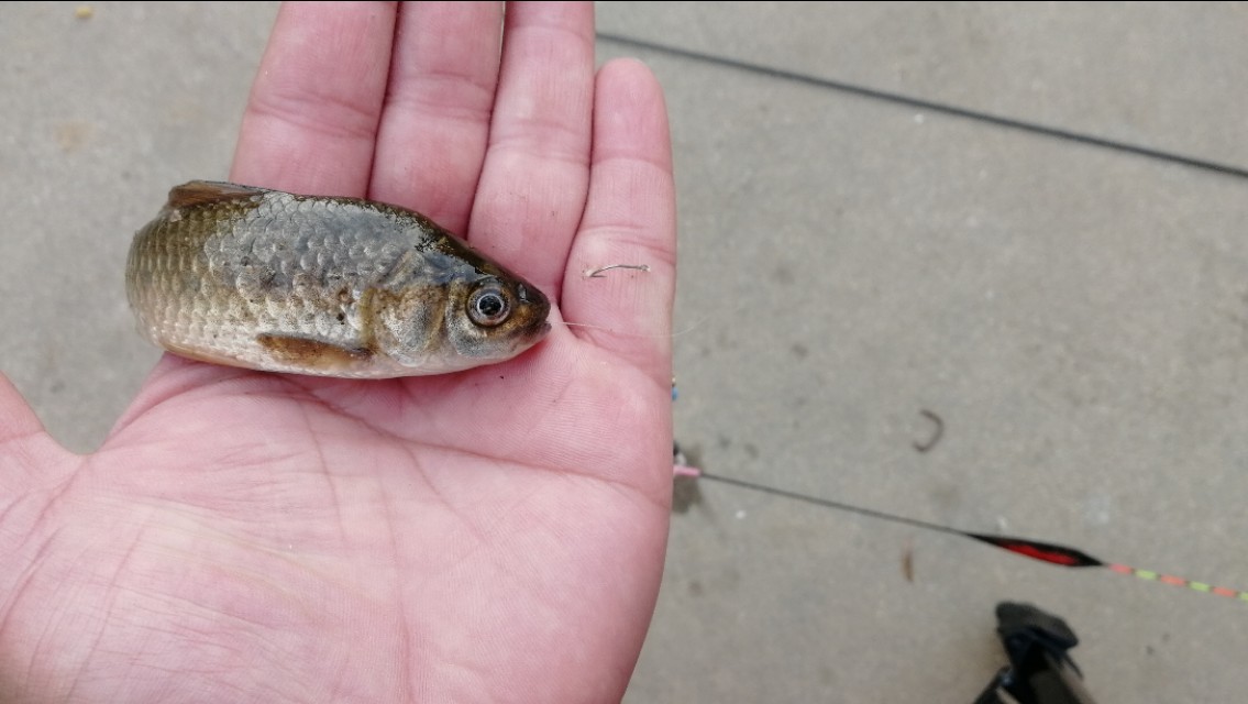 防止浮漂走水最好的方法,粗浮漂抗走水还是细浮漂抗走水