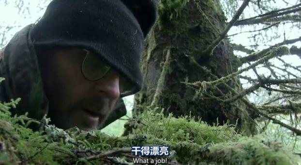 把选手虐哭的「成人综艺」，只有它