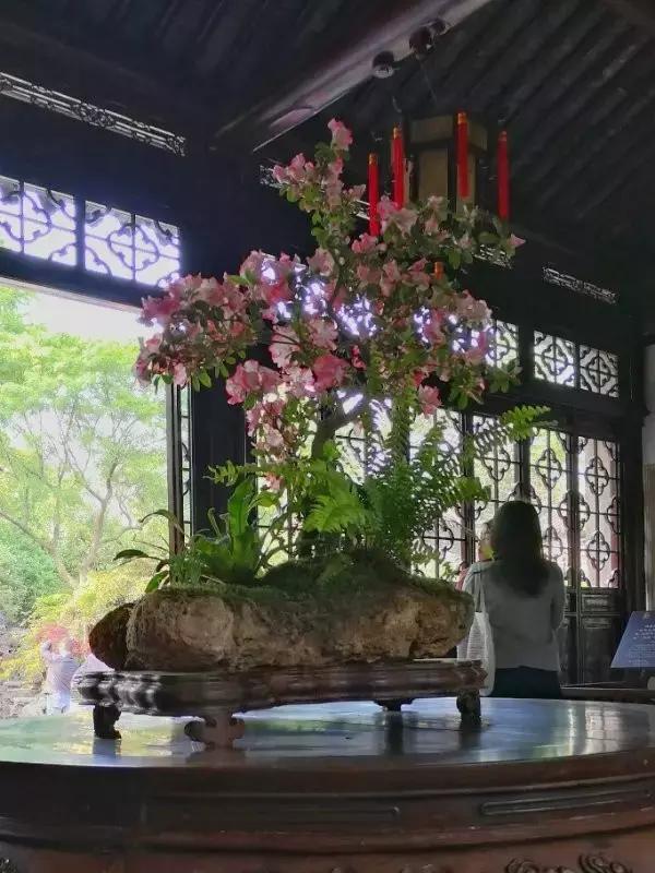 中国园林的诗情画意之美,虽由人作宛自天开的造园理念