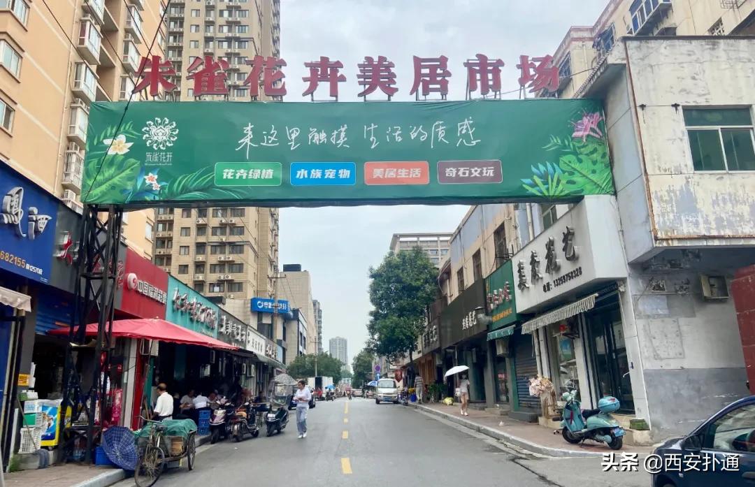 西安花市怎么买花便宜,西安最新花市