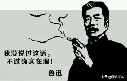 最好的绍兴黄酒,绍兴太平桥黄酒