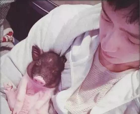 欧阳娜娜戚薇刘海,欧阳娜娜周冬雨刘昊然