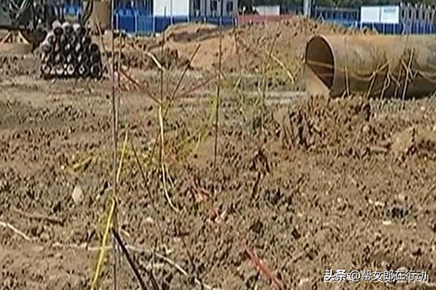 农科院崩溃瞬间,中国农科院与省农科院