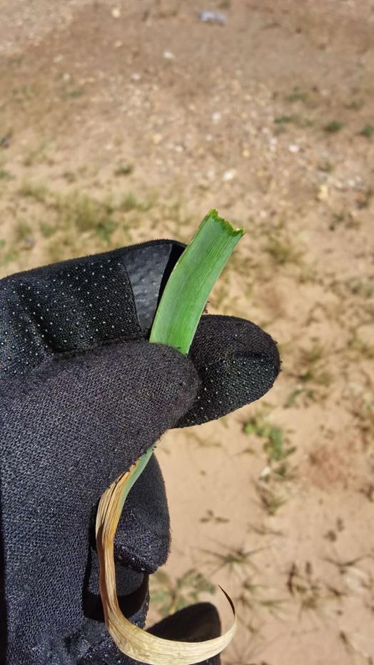 鬼哥的五万里D39青海曲麻莱县五道梁镇-沱沱河保护站