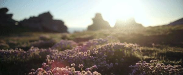 十年匠心，尽显“蜂”芒！法国娇兰绝美蜜境登陆太古汇