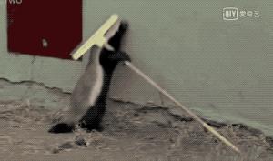 平头哥的传奇记录,平头哥的一生故事