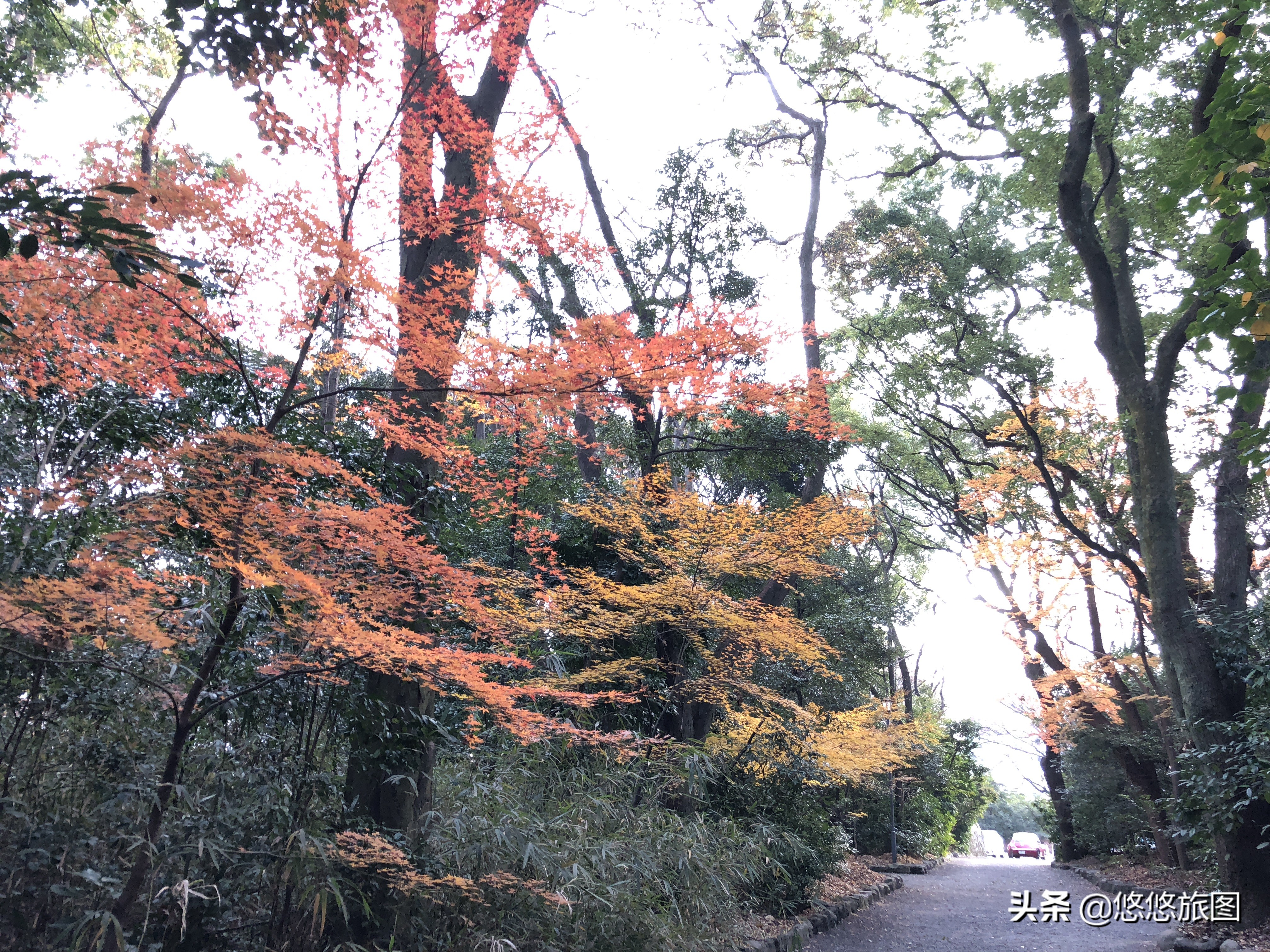 名古屋到白川乡两日游,名古屋之旅全集视频