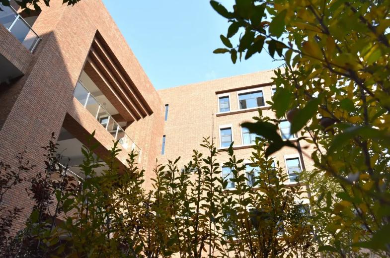 石家庄二中南校区怎么样,石家庄二中怎么样好不好