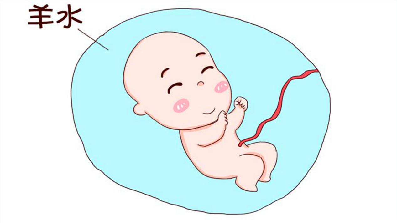 孕妈睡觉宝宝在干什么,孕妈七个月宝宝在肚子里干嘛