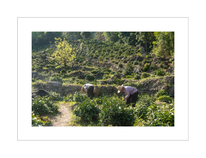 母亲河长江旅游,游黄河入海口的感受