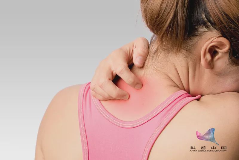 后背疙瘩去除视频,后背粉刺疙瘩怎么去除