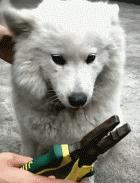 福懋动物医院解放大道分院,福懋动物医疗中心