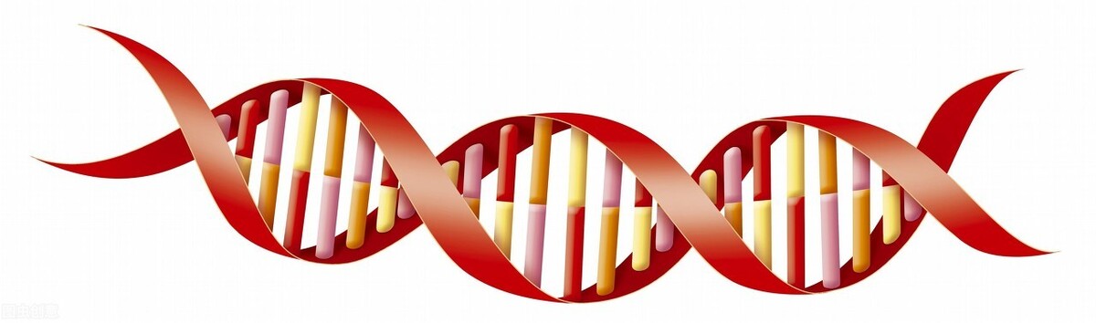 影响世界的十大科学家,影响世界科技十大人物