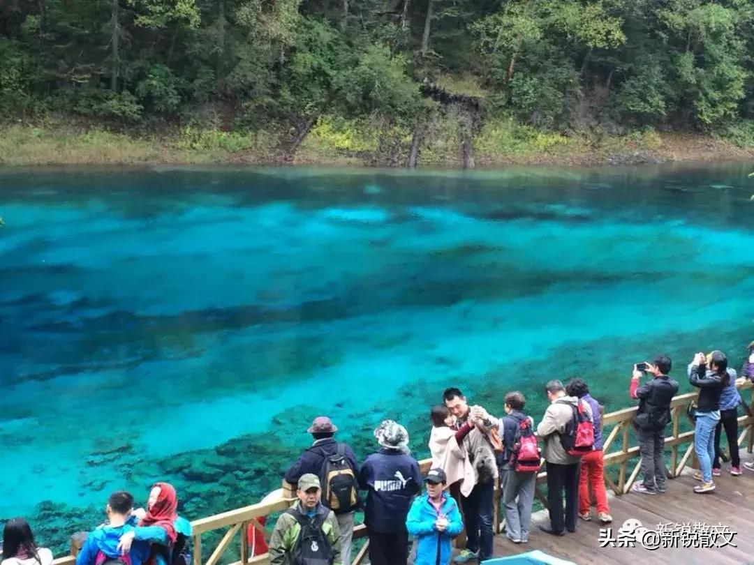九寨黄龙避坑指南,九寨黄龙风景区旅游攻略