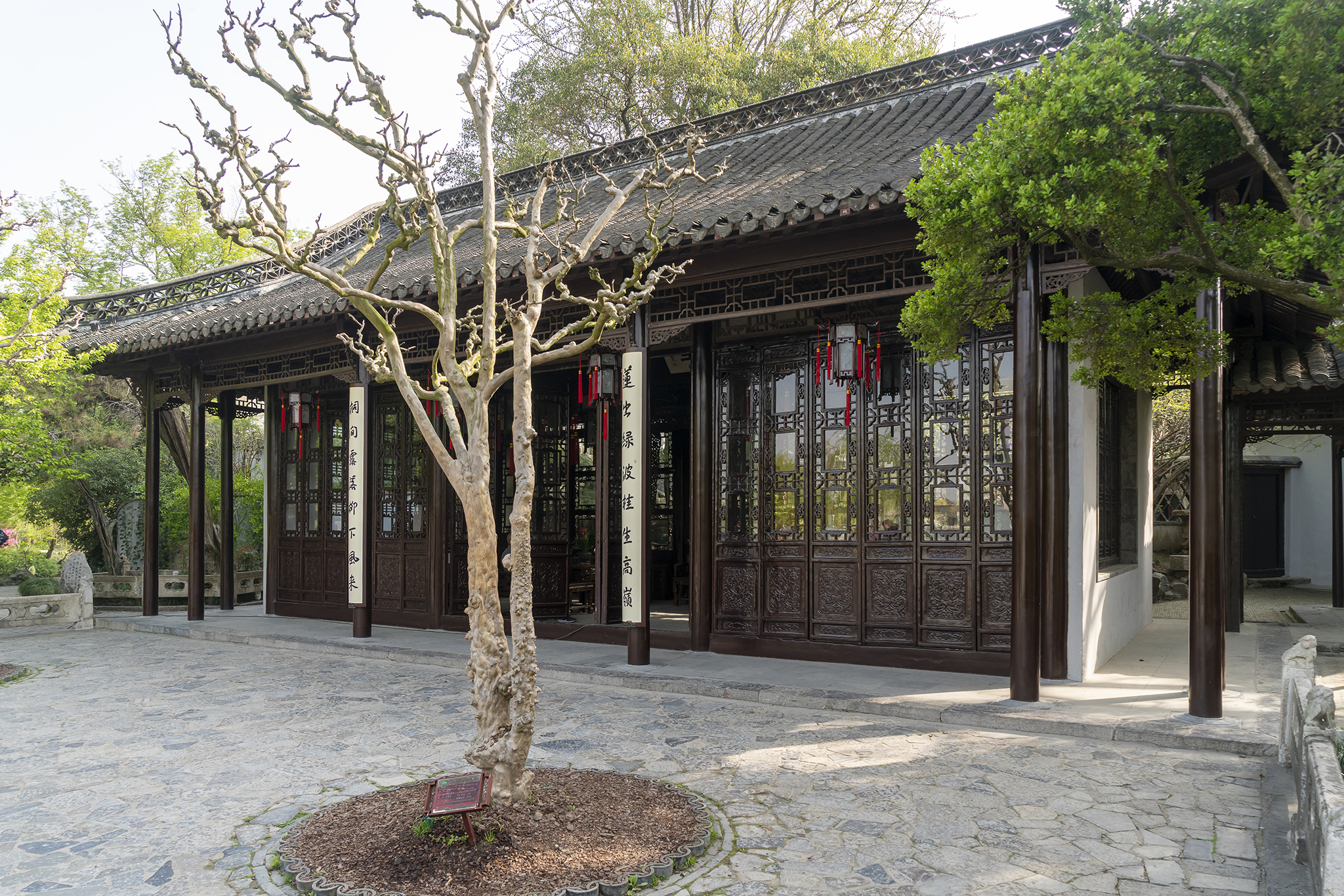 春风十里扬州路烟花三月瘦西湖,扬州三月瘦西湖