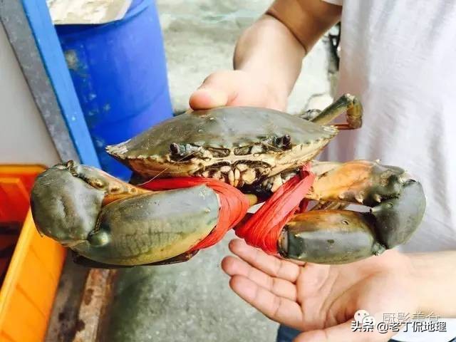 中国海鲜地图,中国海鲜最多地区